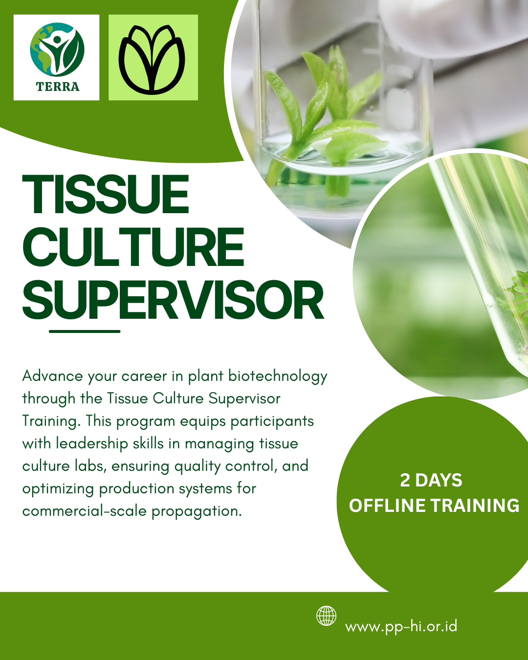 TISSUE CULTURE SUPERVISOR
