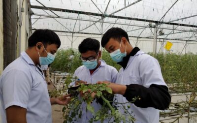 HYDROPONIC CULTIVATION LEARNING PROGRAM
