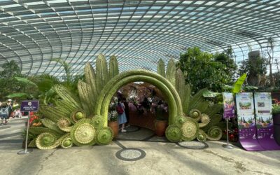 PPHI at Orchid Extravaganza & Singapore Orchid Show 2026